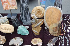 AlamedaPointAntiquesFair-082