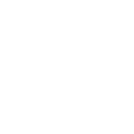 apaf logo large white
