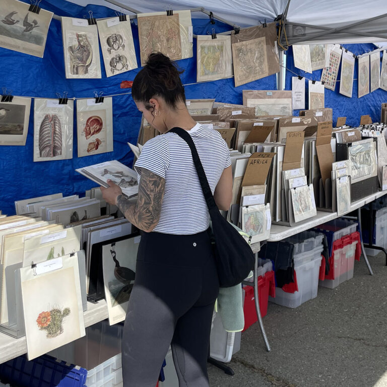 1000 alamedaantiquesfaire img 9912